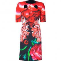 Peter Pilotto Red Carnation Floral Cut-Out Dress